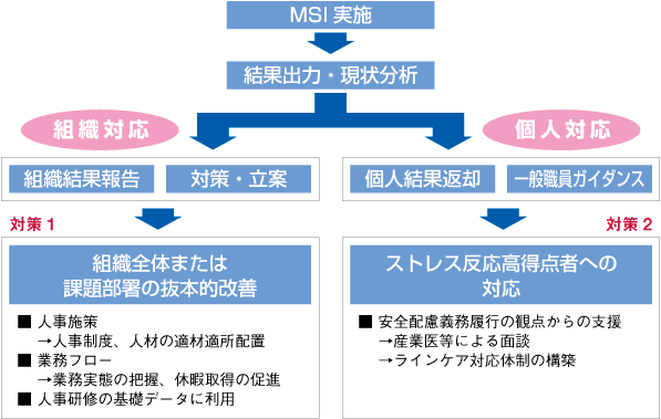 MSIを使った組織改善プログラム（例）